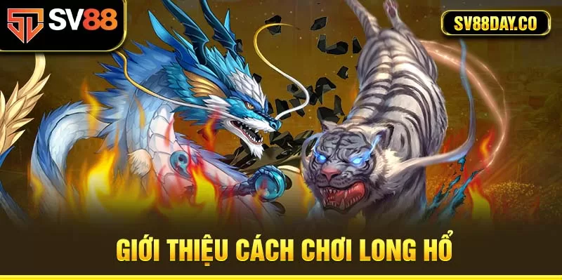 Luật chơi của Long Hổ