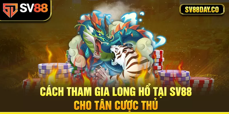 Cách tham gia Long Hổ cùng SV88