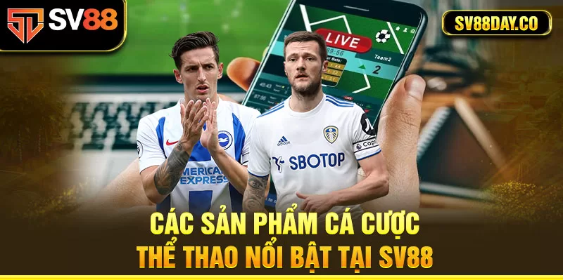 Top 5 hình thức thi đấu thể thao ăn khách tại SV88